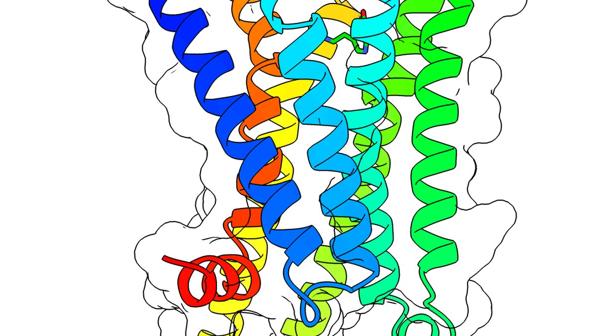 A rainbow class-B GPCR ribbon structure — the incretin and glucagon receptor family that a unimolecular multi-agonist engages, Panacea Bio Chem, Bogdan Dicoias